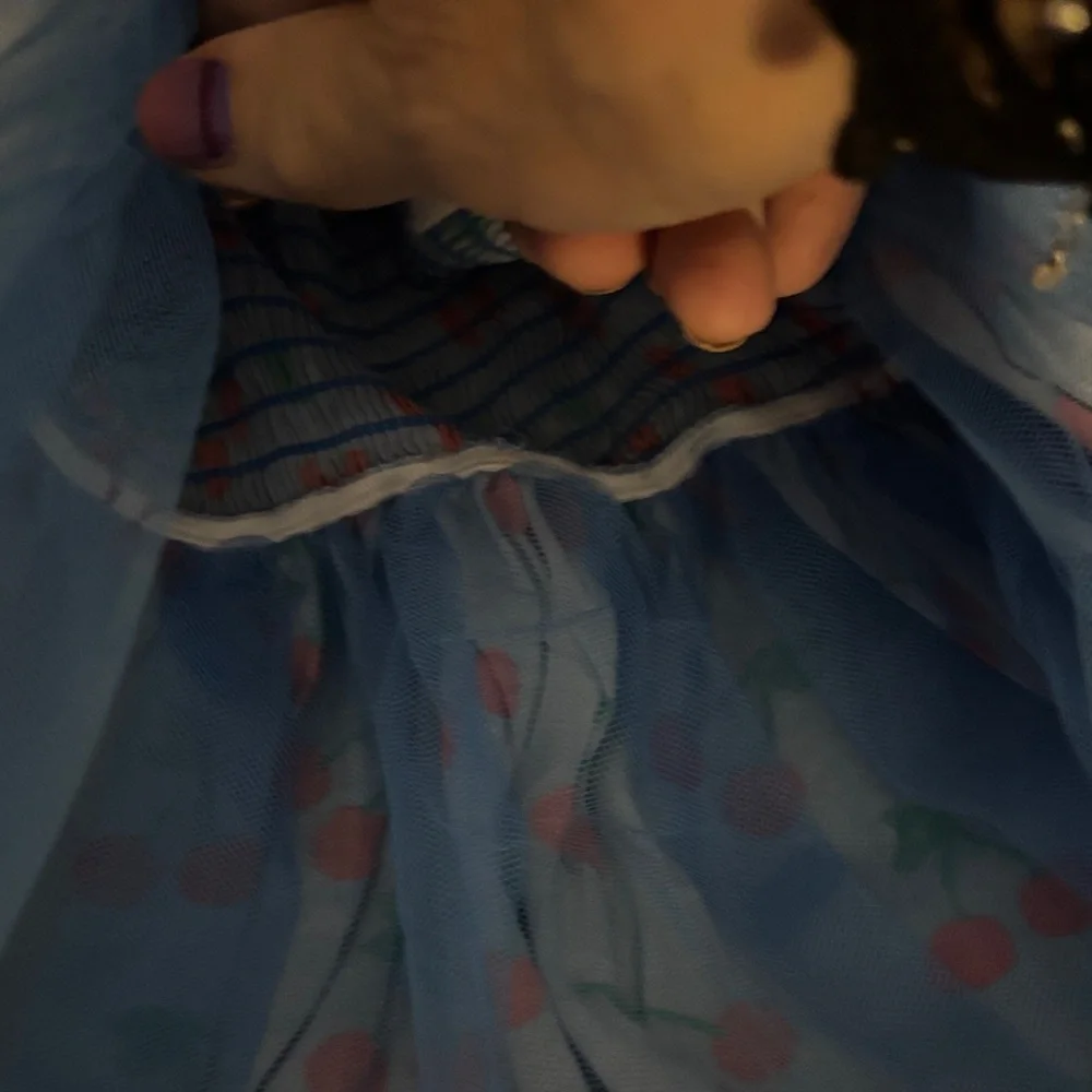 Oodles Blue Cherry Dog Dress